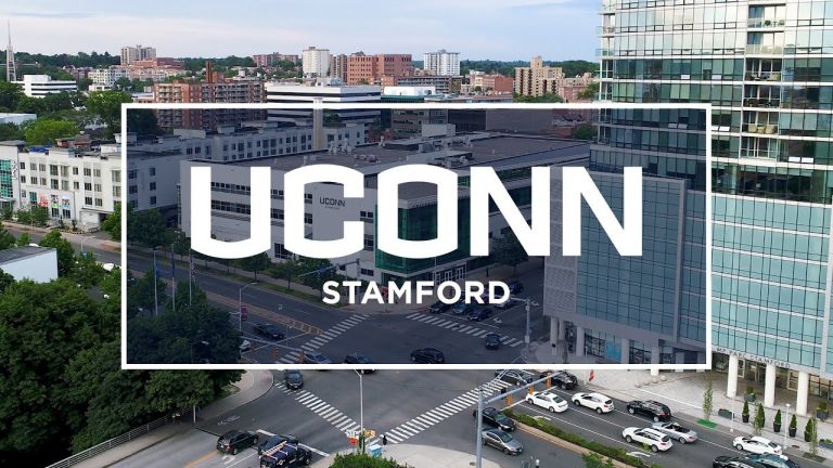 uconn stamford